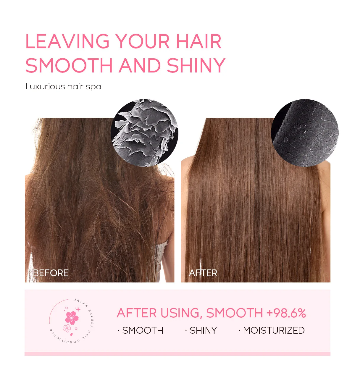 LAIKOU Giappone Sakura Shampoo - Hair Care In Japan recensione e prezzo